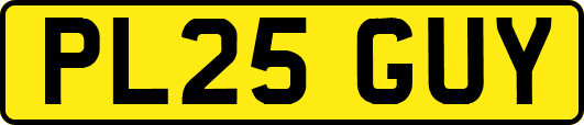 PL25GUY