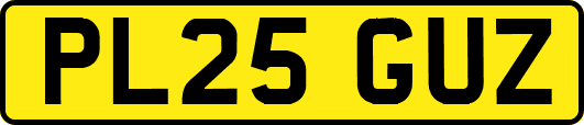 PL25GUZ