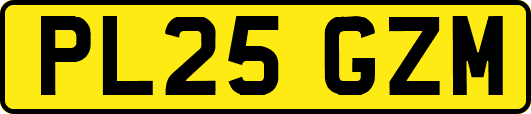 PL25GZM