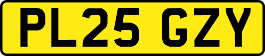 PL25GZY