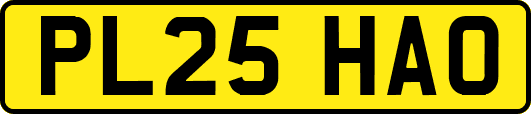PL25HAO