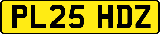 PL25HDZ