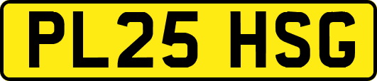 PL25HSG