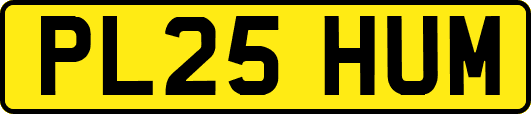 PL25HUM