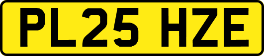 PL25HZE