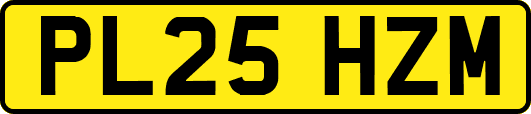 PL25HZM
