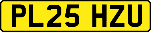 PL25HZU