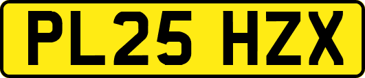 PL25HZX