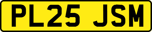 PL25JSM