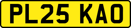 PL25KAO