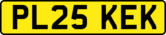 PL25KEK