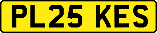 PL25KES