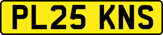 PL25KNS