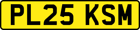 PL25KSM