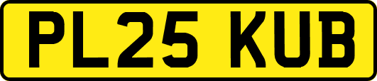 PL25KUB