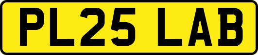 PL25LAB