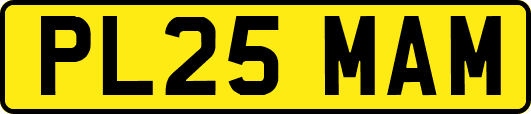 PL25MAM
