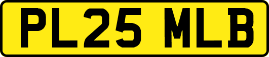 PL25MLB