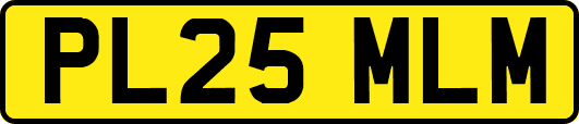 PL25MLM
