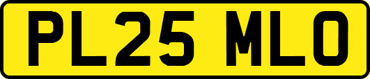 PL25MLO