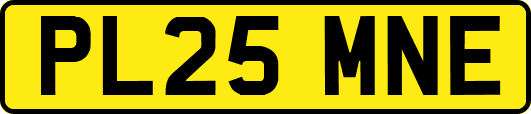 PL25MNE