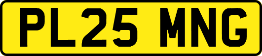 PL25MNG