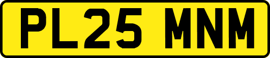 PL25MNM