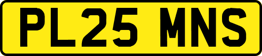 PL25MNS