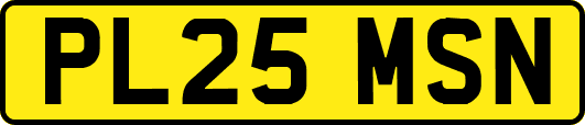 PL25MSN