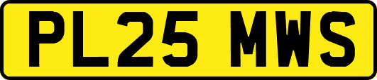 PL25MWS