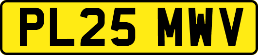 PL25MWV