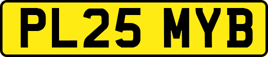 PL25MYB