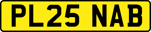 PL25NAB