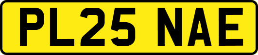 PL25NAE