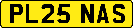 PL25NAS