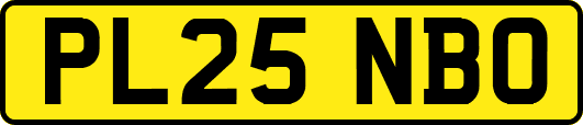 PL25NBO