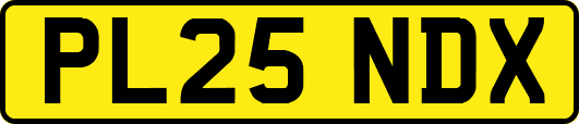 PL25NDX