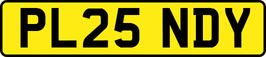 PL25NDY
