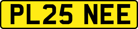 PL25NEE