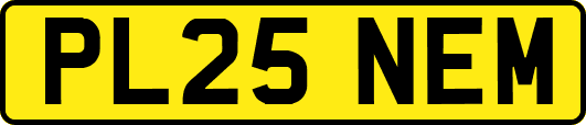 PL25NEM