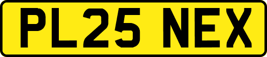 PL25NEX