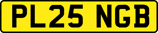PL25NGB