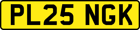 PL25NGK