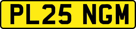 PL25NGM
