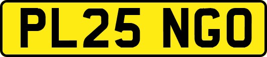 PL25NGO