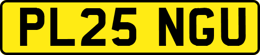 PL25NGU