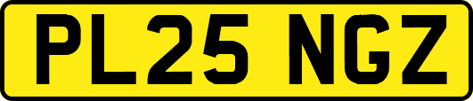PL25NGZ