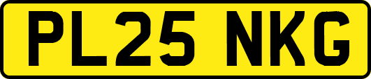 PL25NKG