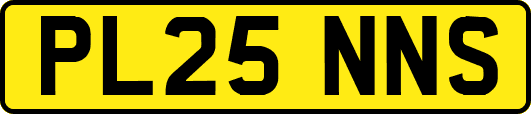 PL25NNS