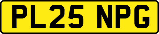 PL25NPG